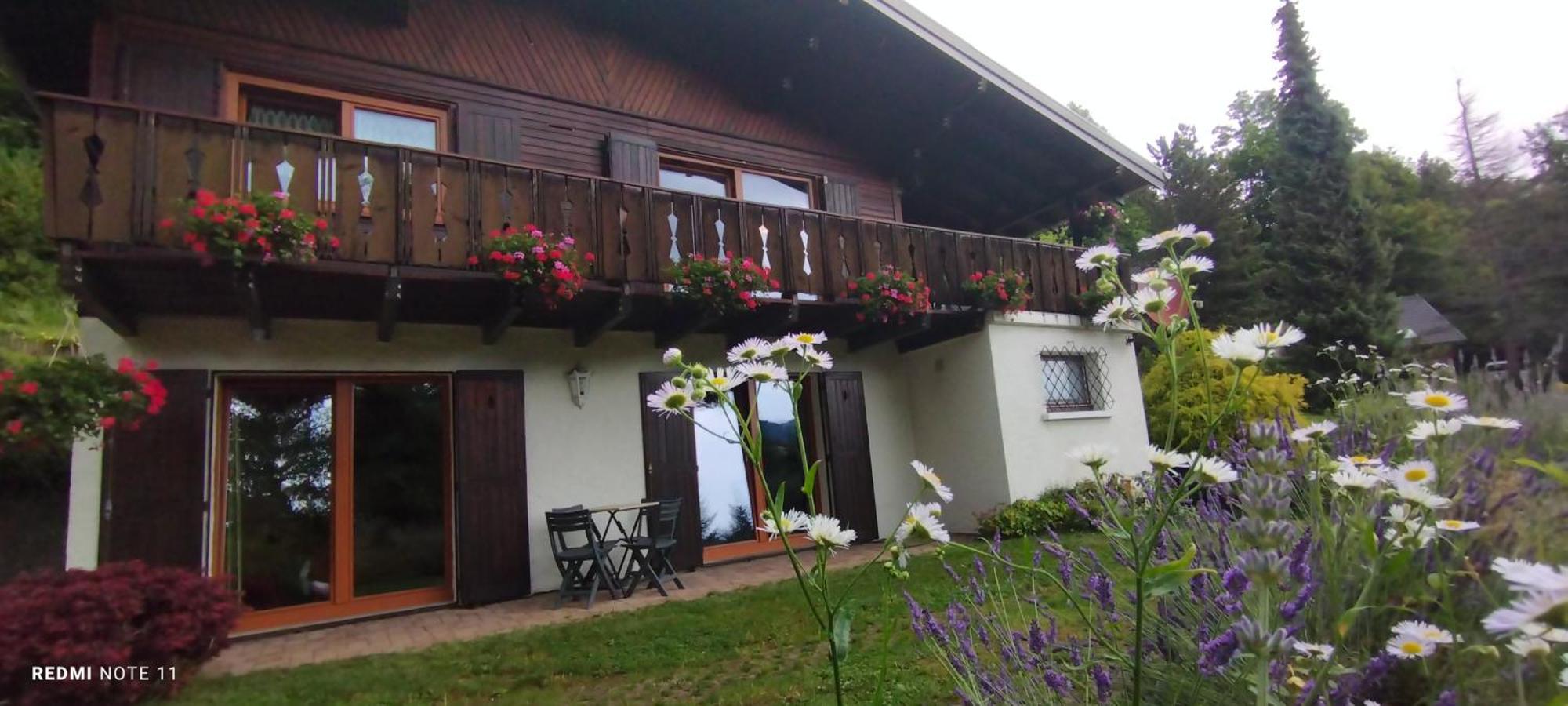 Chalet Au Bois Des Ecureuils Classe Trois Etoiles. Мюльбах-сюр-Мюнстер Экстерьер фото
