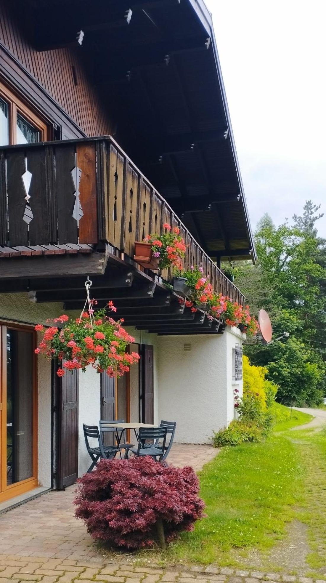 Chalet Au Bois Des Ecureuils Classe Trois Etoiles. Мюльбах-сюр-Мюнстер Экстерьер фото